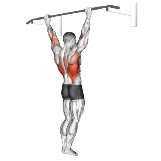 How to Do a Dead Hang (with Safety Tips)